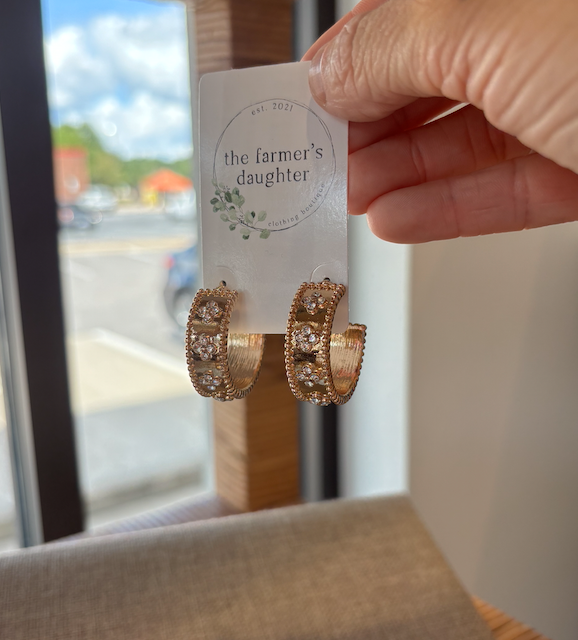 Izabela CZ Hoop Earring