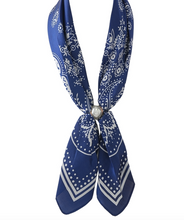 Load image into Gallery viewer, Magnetic Paisley Scarf Necklace
