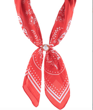 Load image into Gallery viewer, Magnetic Paisley Scarf Necklace
