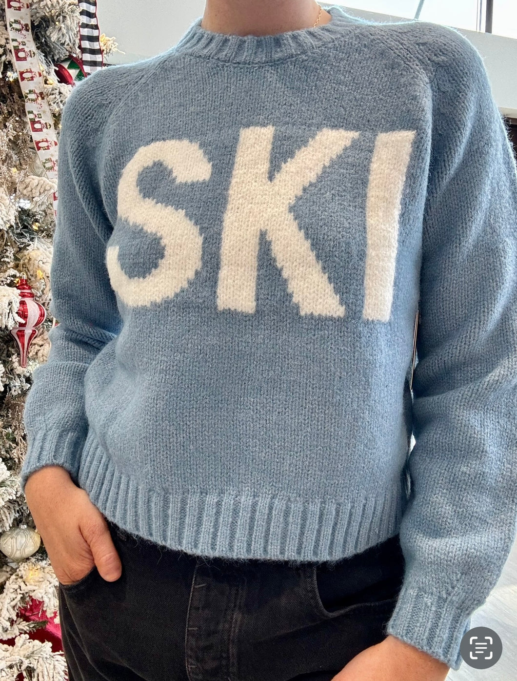 RD Ski Crew Sweater